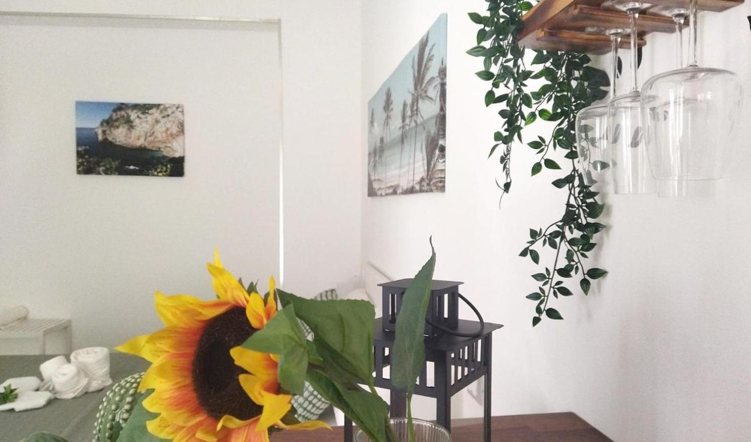 Casa Vacanze Green House Terrasini Dış mekan fotoğraf
